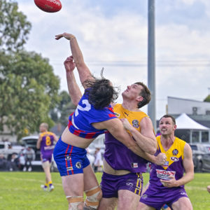 gdflfooty 2871678