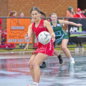 jnrnetball 2896265