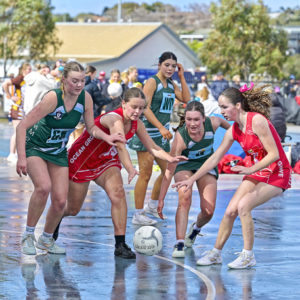 jnrnetball 2896267