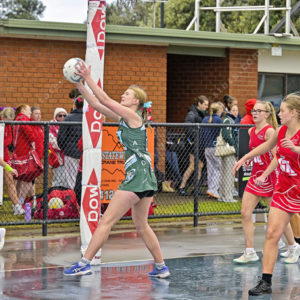 jnrnetball 2896273