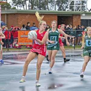 jnrnetball 2896286