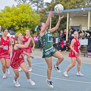 jnrnetball 2896287