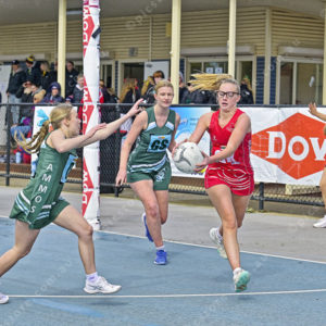 jnrnetball 2896289