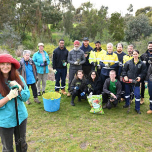 landcare 2875951