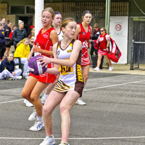 ognetball 2871134