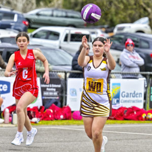 ognetball 2871142