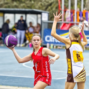ognetball 2871147