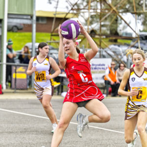 ognetball 2871150