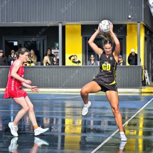 ognetball 2883046