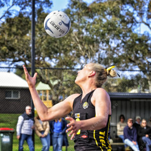 ognetball 2883047