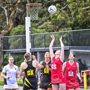 ognetball 2883056