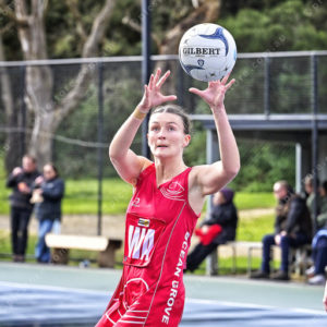 ognetball 2883062