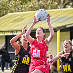 ognetball 2883072