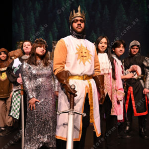 spamalot 2881537