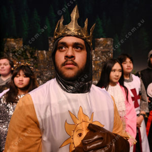 spamalot 2881540