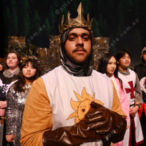 spamalot 2881541