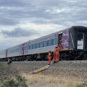 vline 2894508