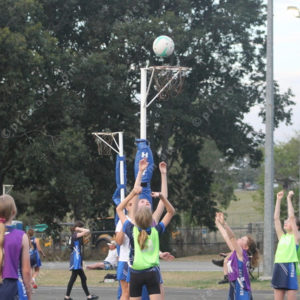 BTNetball 2908626
