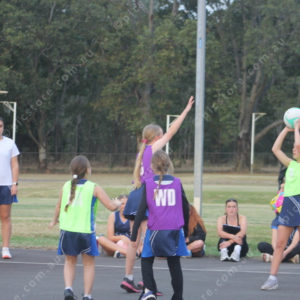 BTNetball 2908629
