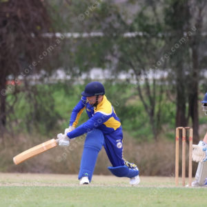 CricketCQ 2910764
