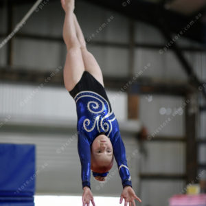 Gymnastics 2897907