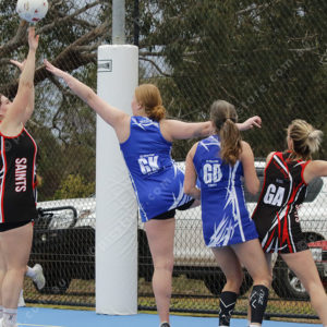 Netball 2904650