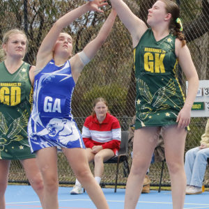 Netball 2904651