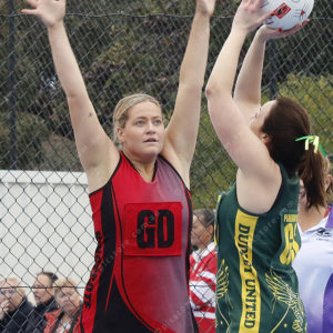 Netball 2904659