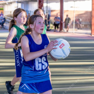 Netball 2913215