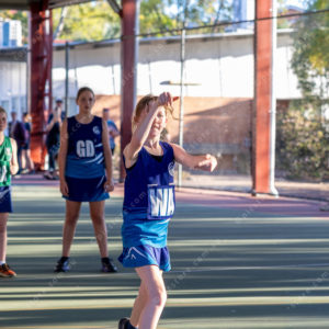 Netball 2913220