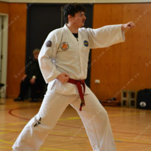 PPTkd 2897925