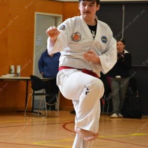 PPTkd 2897926