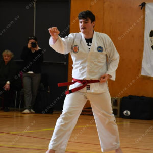 PPTkd 2897927