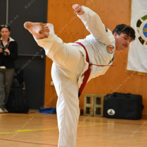 PPTkd 2897929