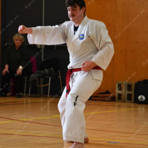 PPTkd 2897930
