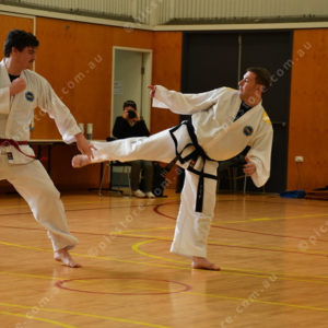 PPTkd 2897934