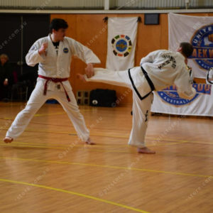 PPTkd 2897935