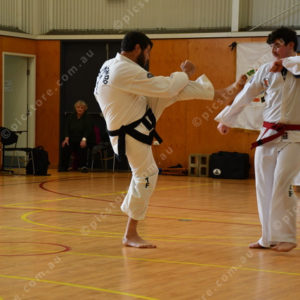 PPTkd 2897936
