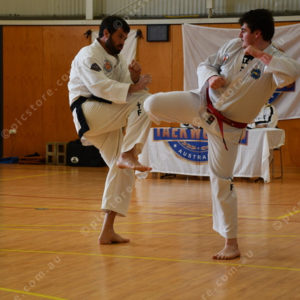 PPTkd 2897937