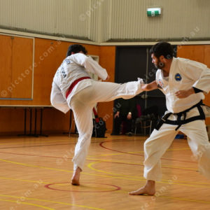 PPTkd 2897938