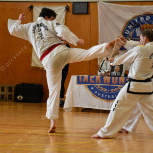 PPTkd 2897939