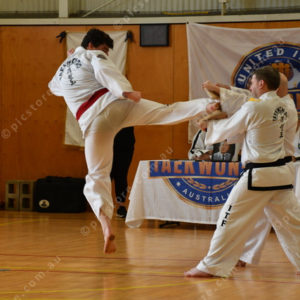 PPTkd 2897940