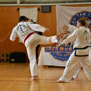 PPTkd 2897941