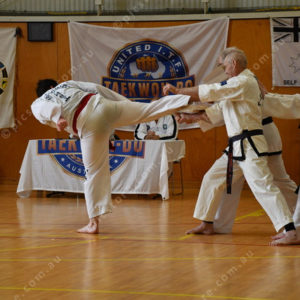 PPTkd 2897943