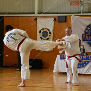 PPTkd 2897944