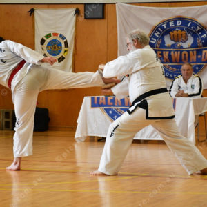 PPTkd 2897945