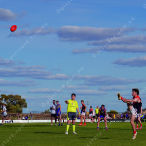 SnrFooty 2909754