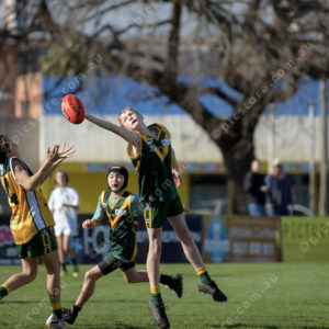 U14Footy 2903263