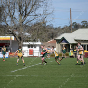 U14Footy 2903267