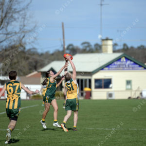 U14Footy 2903281
